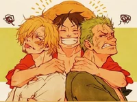 Luffy Sanji Zoro