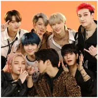 - Stray Kids Fam