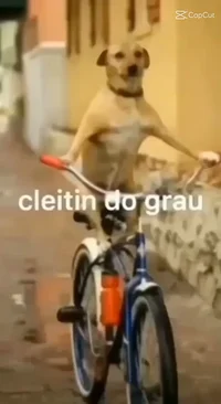 caramelo e sua tropa