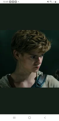Newt