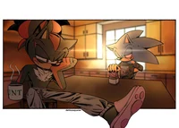 Sonic and Shadow