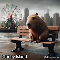 Makes anything