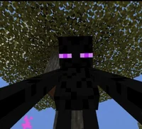 Smoke the Enderman