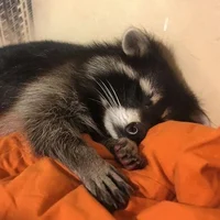 Sebastian