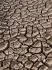 Drought
