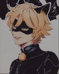 Chat noir 