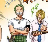 Sanji e Zoro 