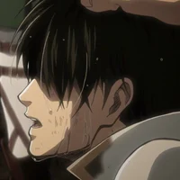 Levi Ackerman 