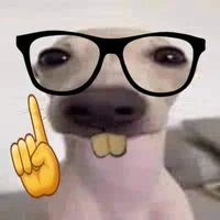 Random ass dog