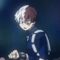Shoto Todoroki