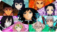 UM Hashira