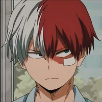 Shoto Todoroki 