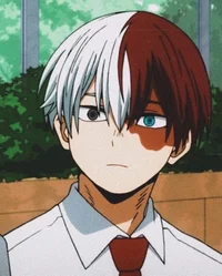 Todoroki Shoto