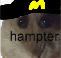 Hampter 