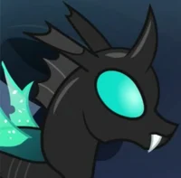 Thorax - MLP