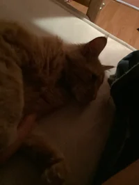 Benny