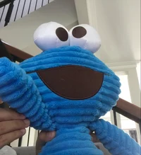 Cookie Monster