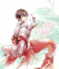 Koi boy Akoya