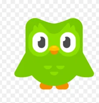 Duolingo_