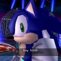 sonic swears