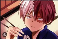Shoto Todoroki