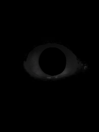 Midnight liar RPG
