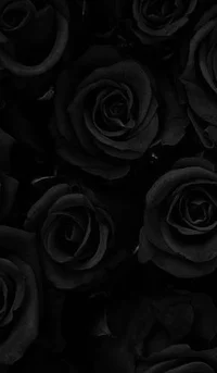 0 - HEY CHECK MR OUT