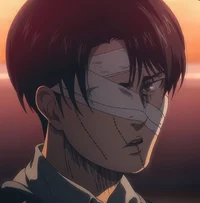 Levi Ackerman 