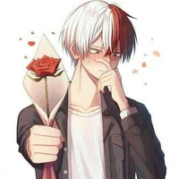 Shoto Todoroki