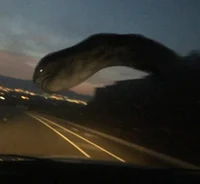 HiGhWAY WORM