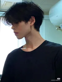 Mino