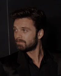 sebastian stan 
