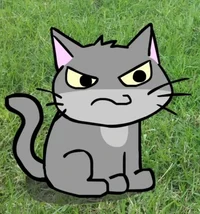 Grey Cat