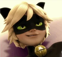 Cat Noir