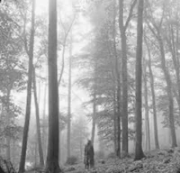 FolkloreLoveTriangle