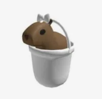 capybara in a bucket