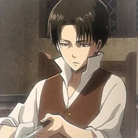 Levi Ackerman 