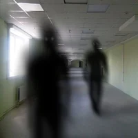 Shadow of fate