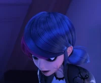 Marinette -Shadybug-