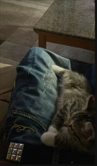 Kenny