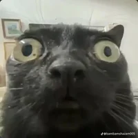 the