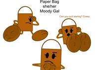 PaperBag