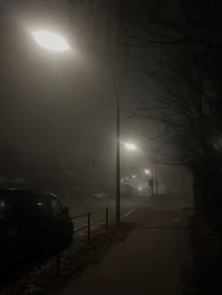THE FOG- SIMULATOR