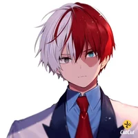 Shoto todoroki