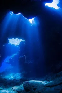 Abyss info bot
