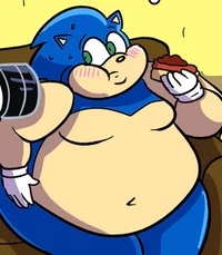 Fat sonic