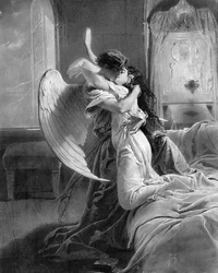Fallen Angel