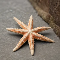 Starfish 