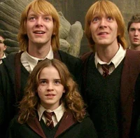 Gemelos Weasley 