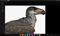Argentavis